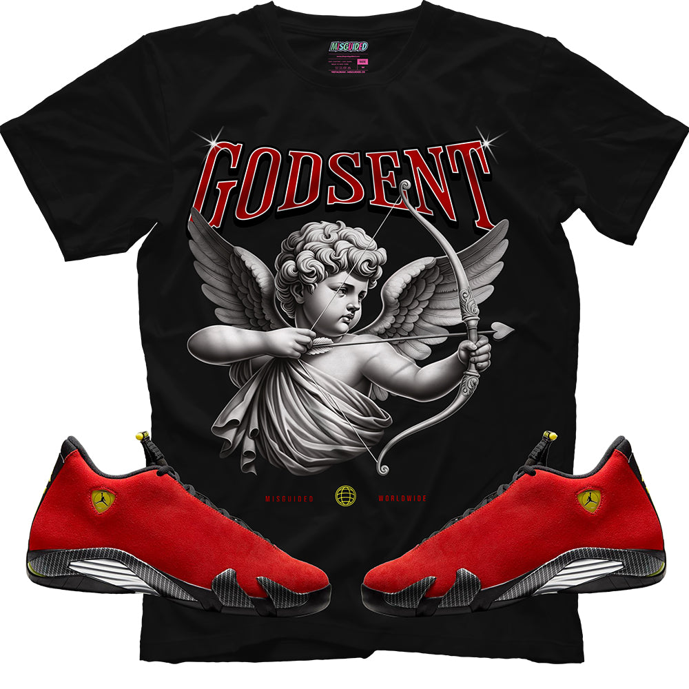Camiseta "Mentalidad equivocada" (Air Jordan 11 Low Bred)