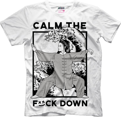 Calm TF Down (Air Jordan 10 Steel) T-Shirt